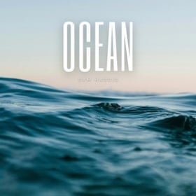 SAM HARRIS - OCEAN